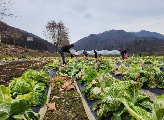 메인사진