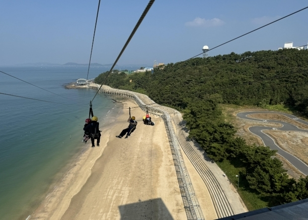 메인사진