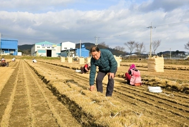 메인사진