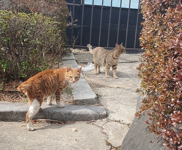 메인사진