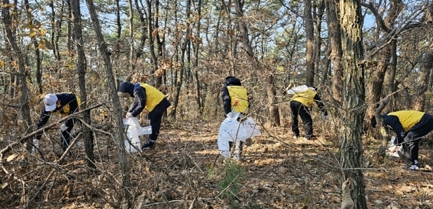 메인사진