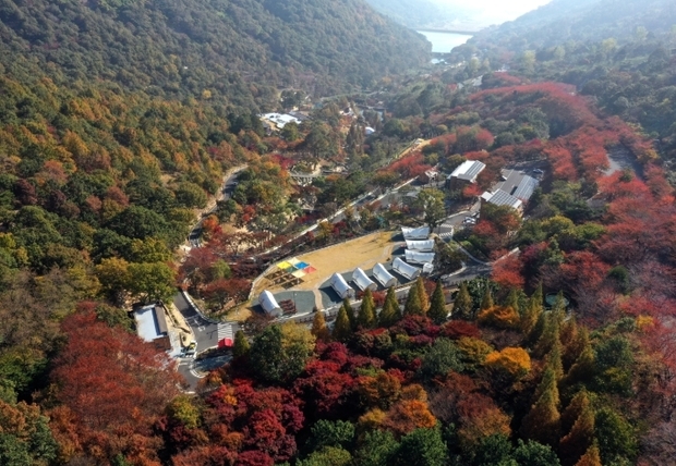 썸네일이미지