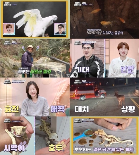 썸네일이미지
