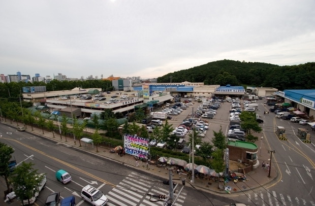 썸네일이미지