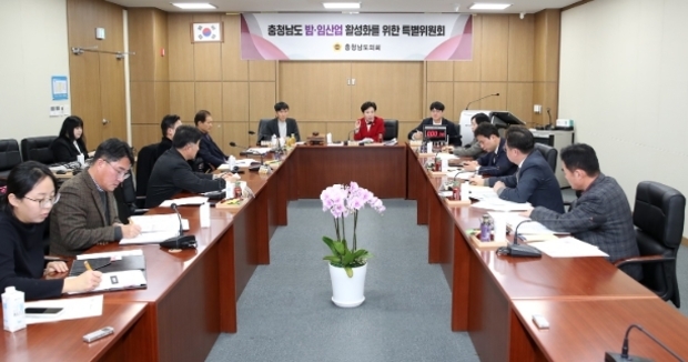 썸네일이미지