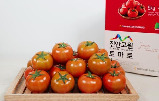 썸네일이미지