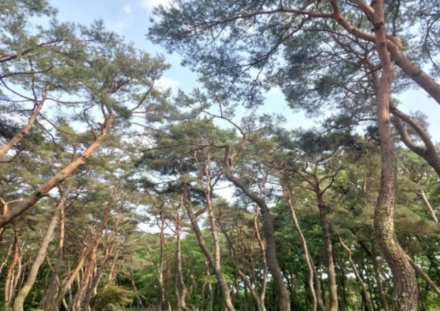 썸네일이미지