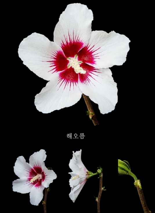 썸네일이미지