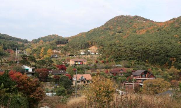 썸네일이미지