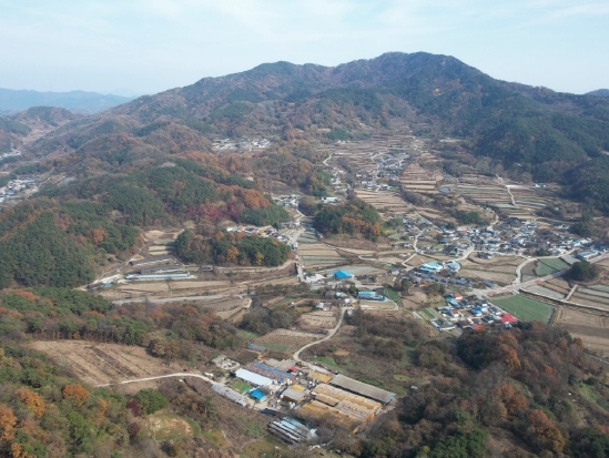 썸네일이미지