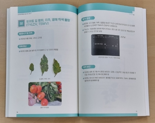 썸네일이미지