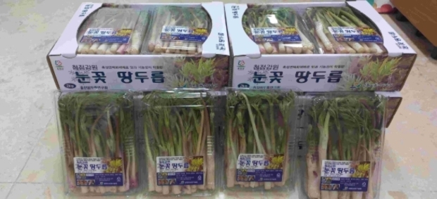 썸네일이미지