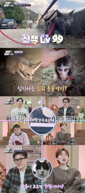 썸네일이미지