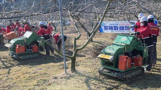 썸네일이미지