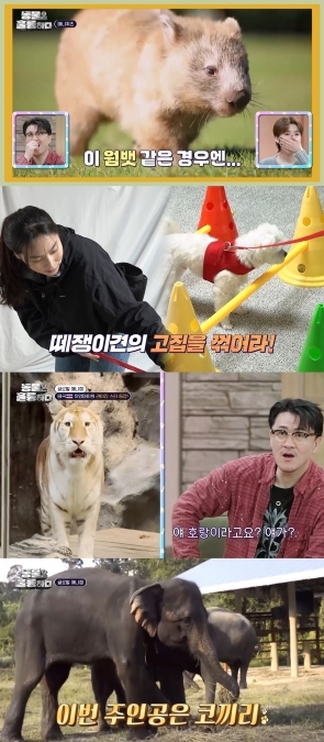 썸네일이미지
