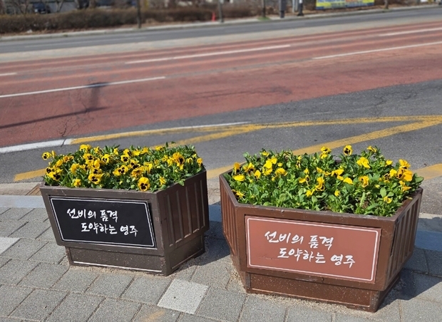썸네일이미지