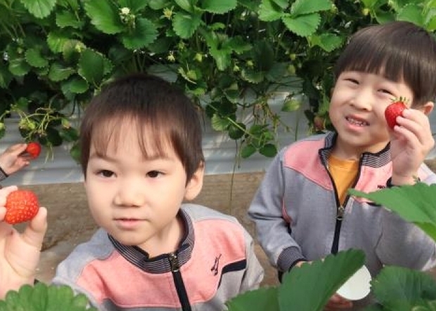 썸네일이미지