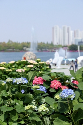 썸네일이미지