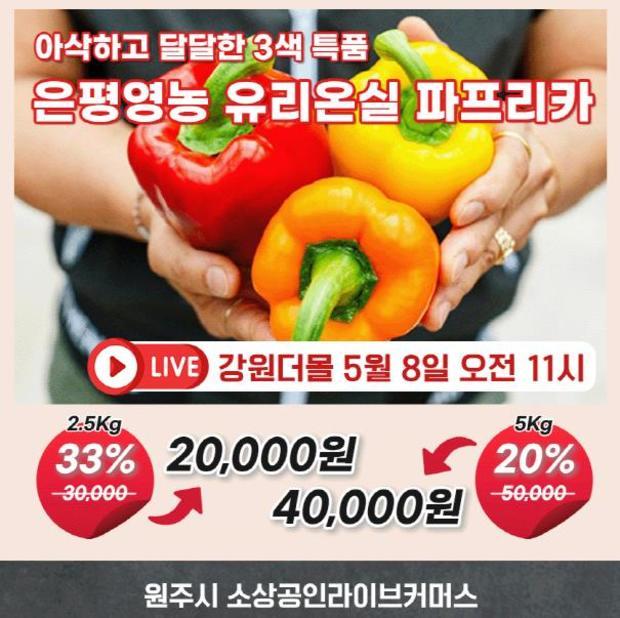썸네일이미지