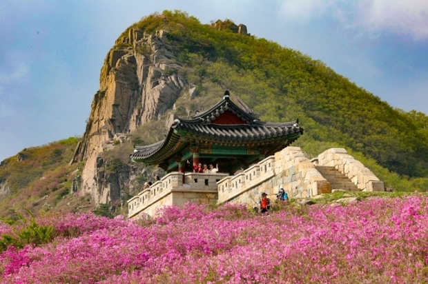 썸네일이미지