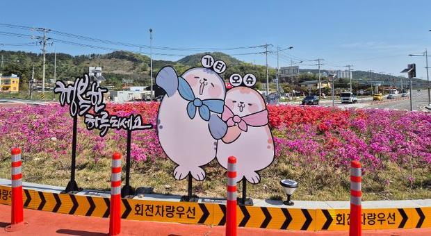 썸네일이미지