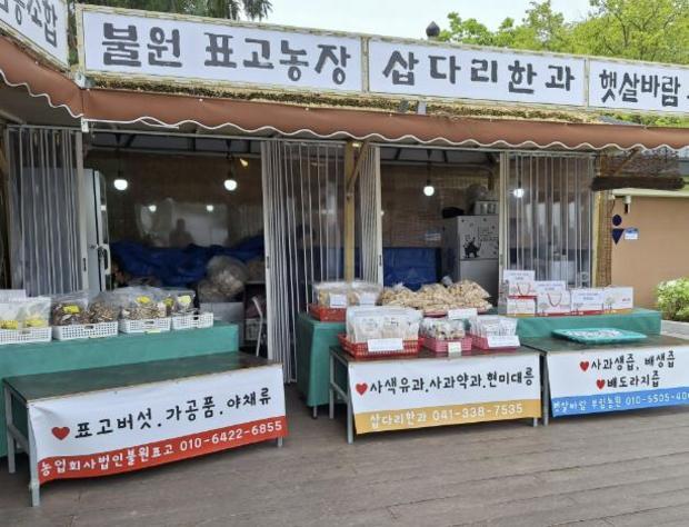 썸네일이미지