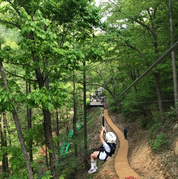 썸네일이미지