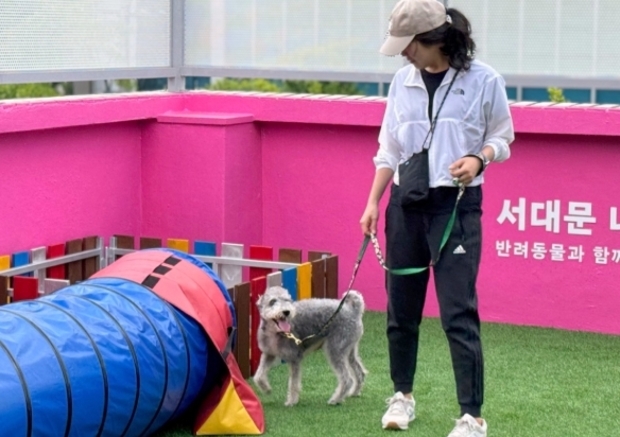 썸네일이미지