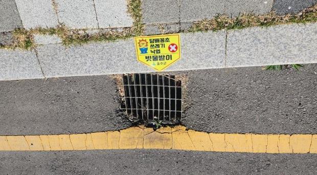썸네일이미지