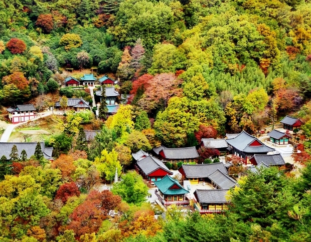 썸네일이미지