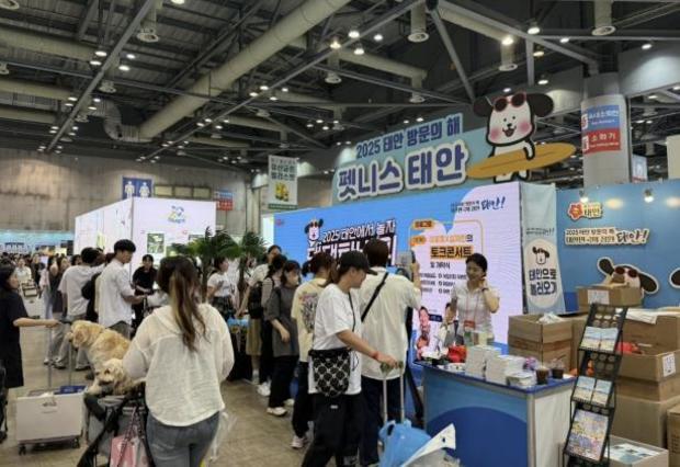 썸네일이미지