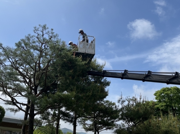 썸네일이미지