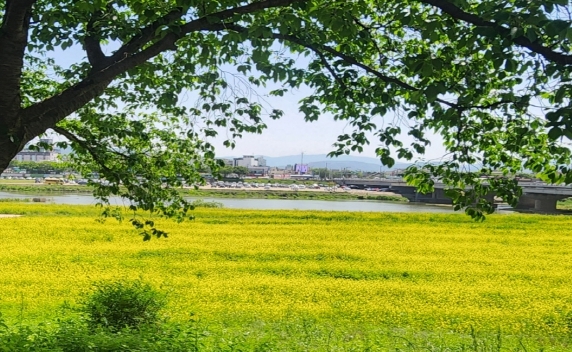썸네일이미지