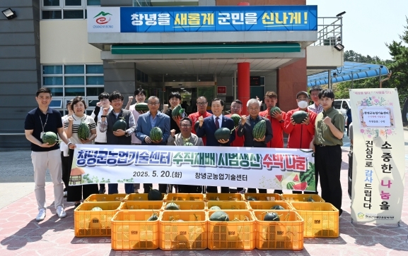 썸네일이미지