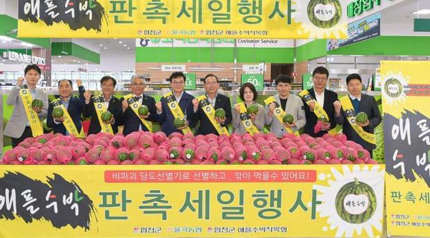 썸네일이미지