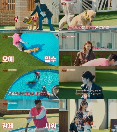 썸네일이미지