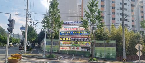 썸네일이미지