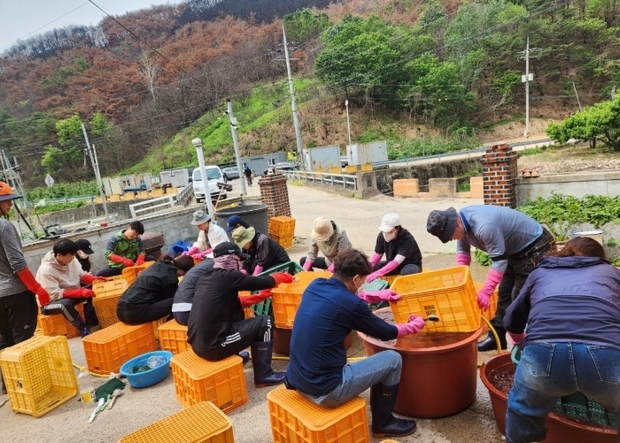 썸네일이미지