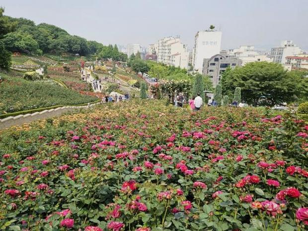 썸네일이미지