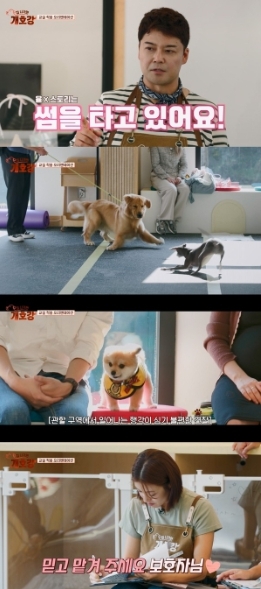 썸네일이미지