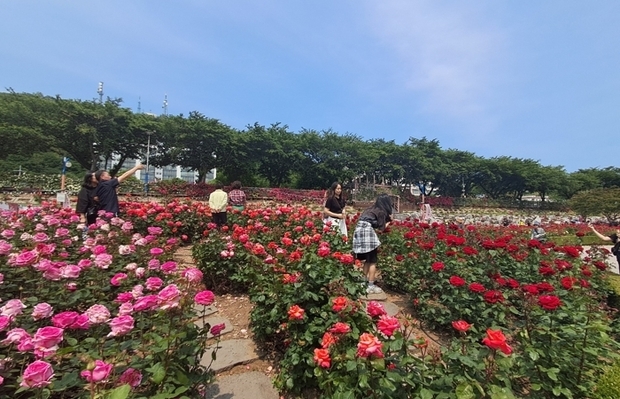 썸네일이미지
