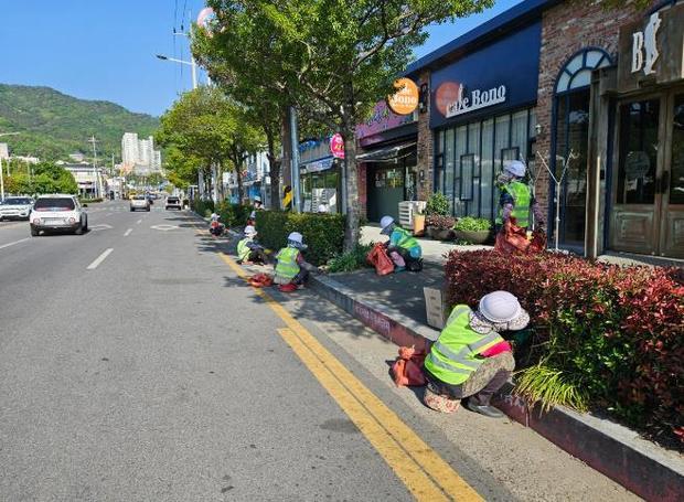 썸네일이미지