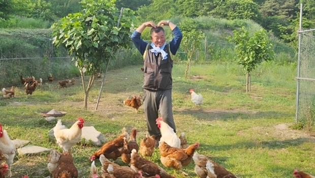 썸네일이미지