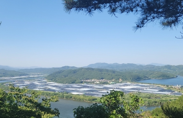 썸네일이미지