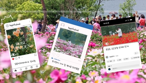 썸네일이미지