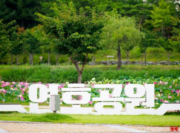 썸네일이미지