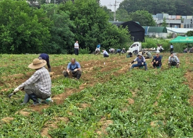썸네일이미지