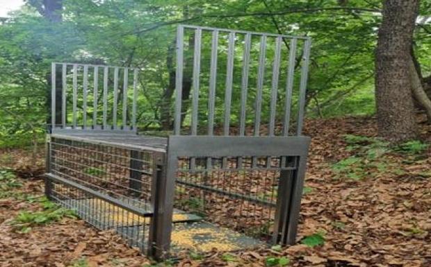 썸네일이미지
