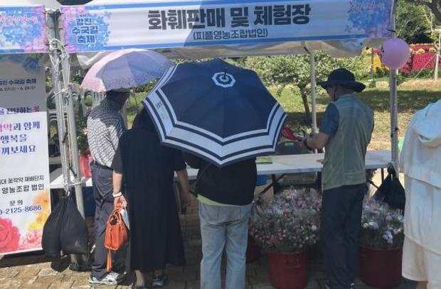 썸네일이미지