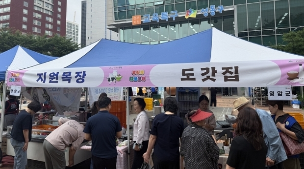 썸네일이미지